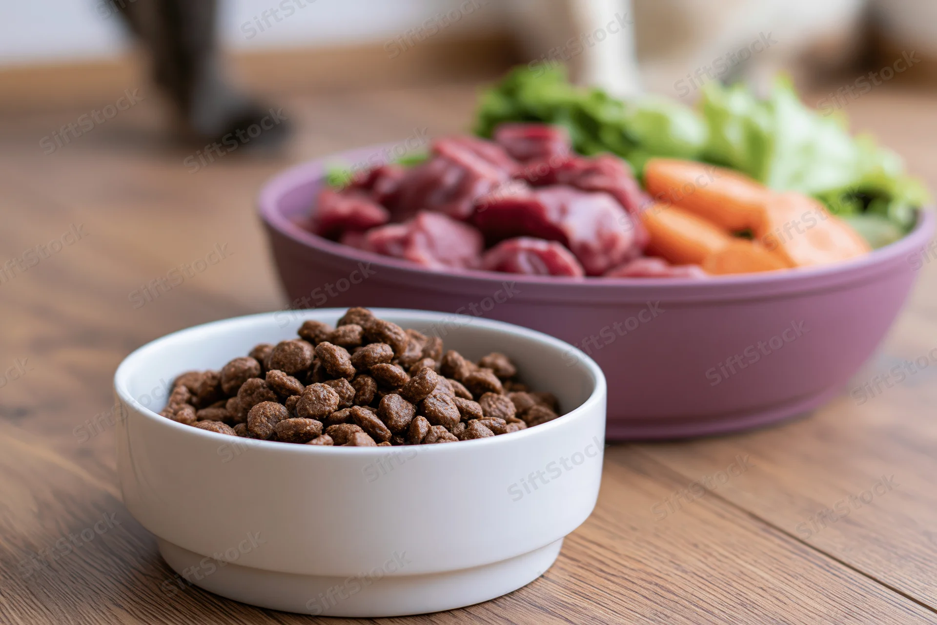 Two pet food bowls side by side on wooden floor, one with kibble and one with raw meat and vegetables