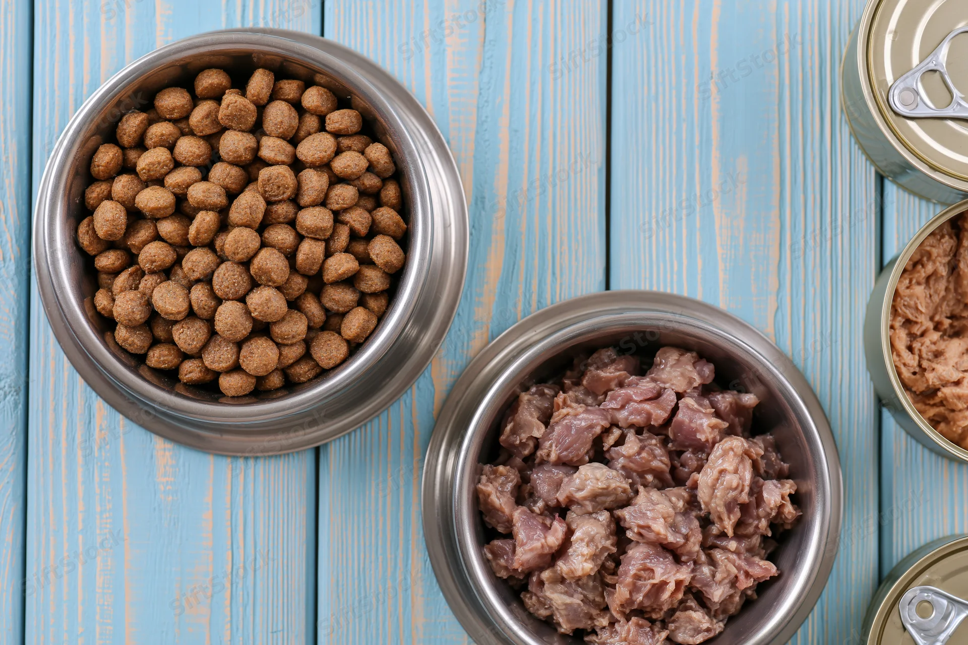 Two stainless steel bowls filled with dry kibble and wet meat on a blue wooden surface