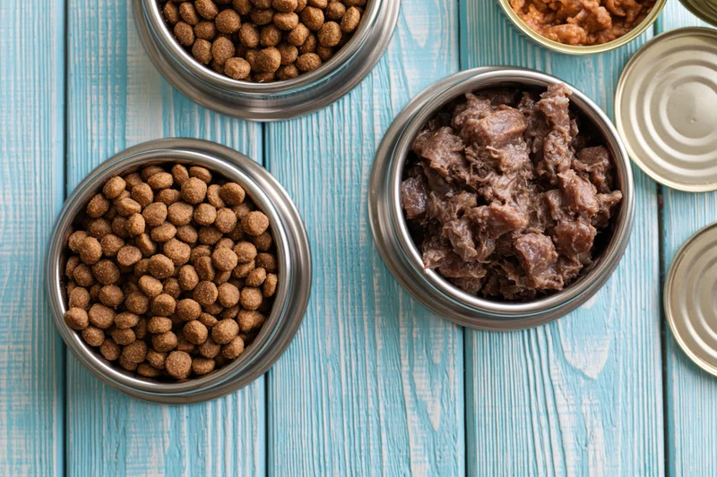 Stainless steel bowls filled with dry kibble and wet pet food on a blue wooden table