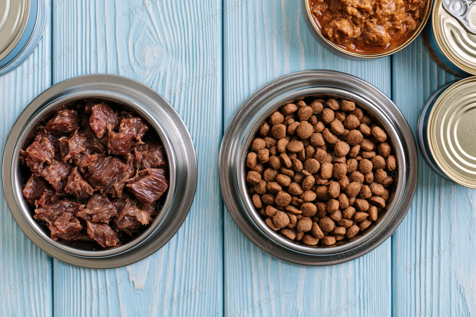 Two stainless steel bowls filled with dry kibble and wet meat pet food on a blue wooden surface