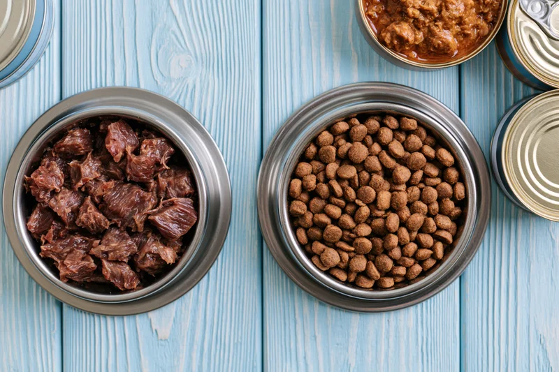 Two stainless steel bowls filled with dry kibble and wet meat pet food on a blue wooden surface