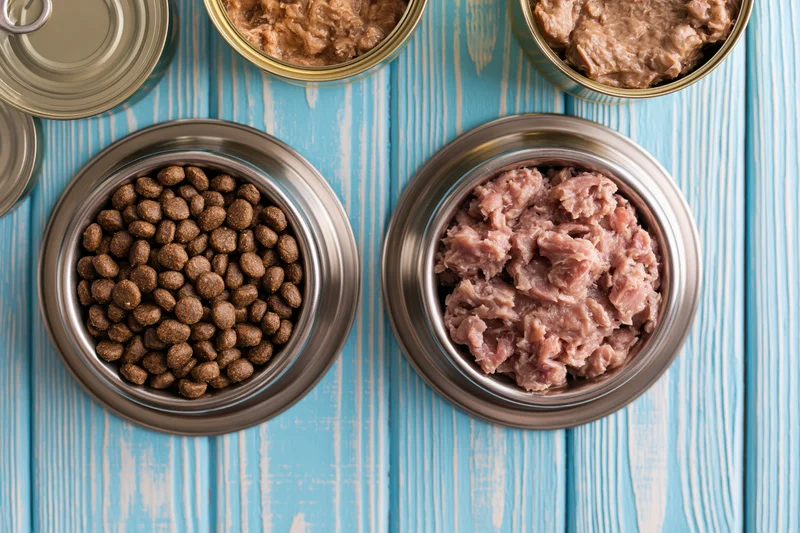Two stainless steel pet bowls filled with dry kibble and wet canned food on a blue wooden surface