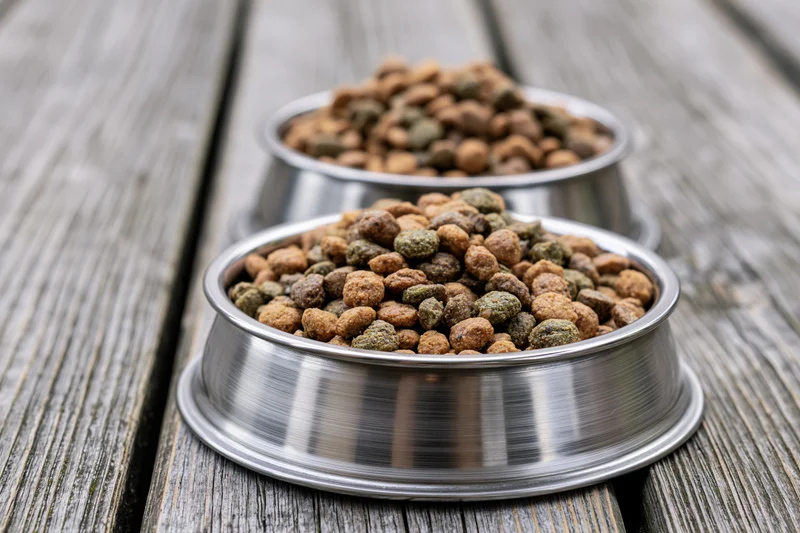 Two stainless steel pet food bowls filled with dry kibble on a wooden surface
