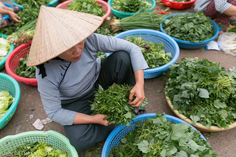 Vietnamese woman sorting fresh leafy vegetables at outdoor market while crouching among colorful baskets