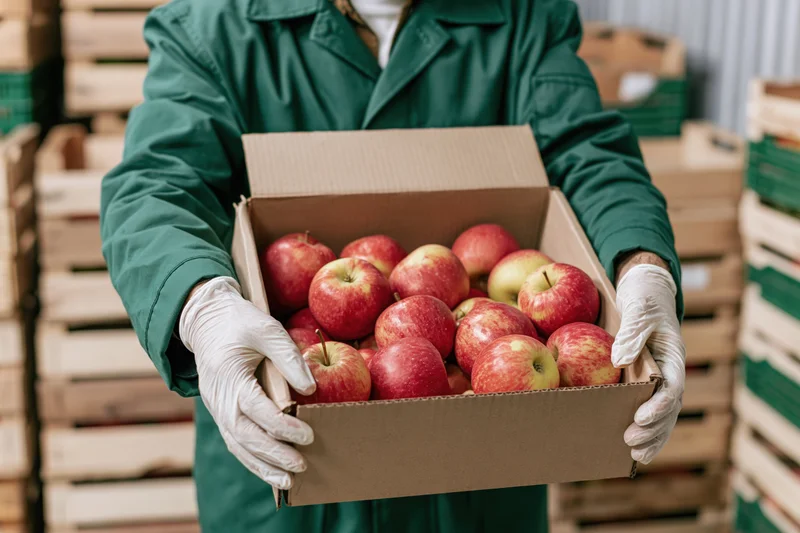 Warehouse worker holding a cardboard box of red and yellow apples in a storage facility