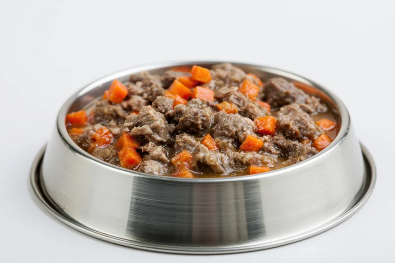 Wet pet food with chunks of meat and diced carrots in gravy served in a stainless steel bowl on white background