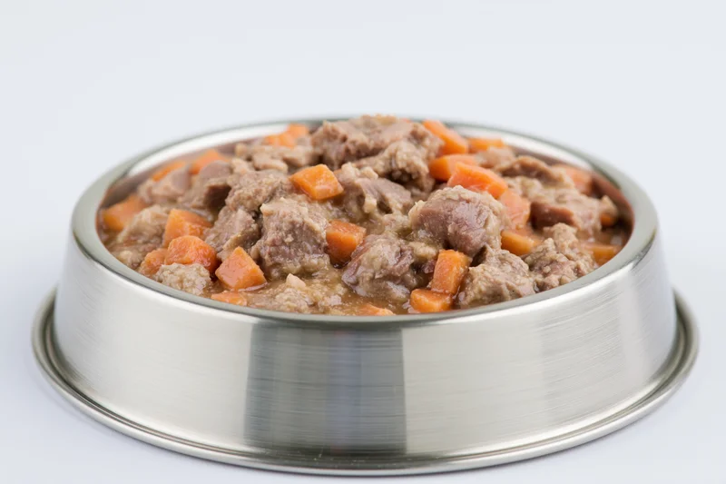 Wet pet food with chunks of meat and diced carrots in gravy in a stainless steel bowl