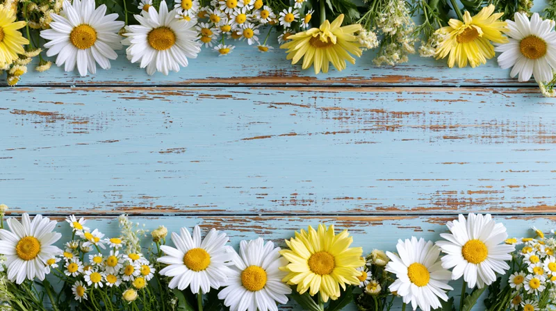 White and yellow daisies and chamomile arranged in a border on a weathered blue wooden surface with copyspace in the center