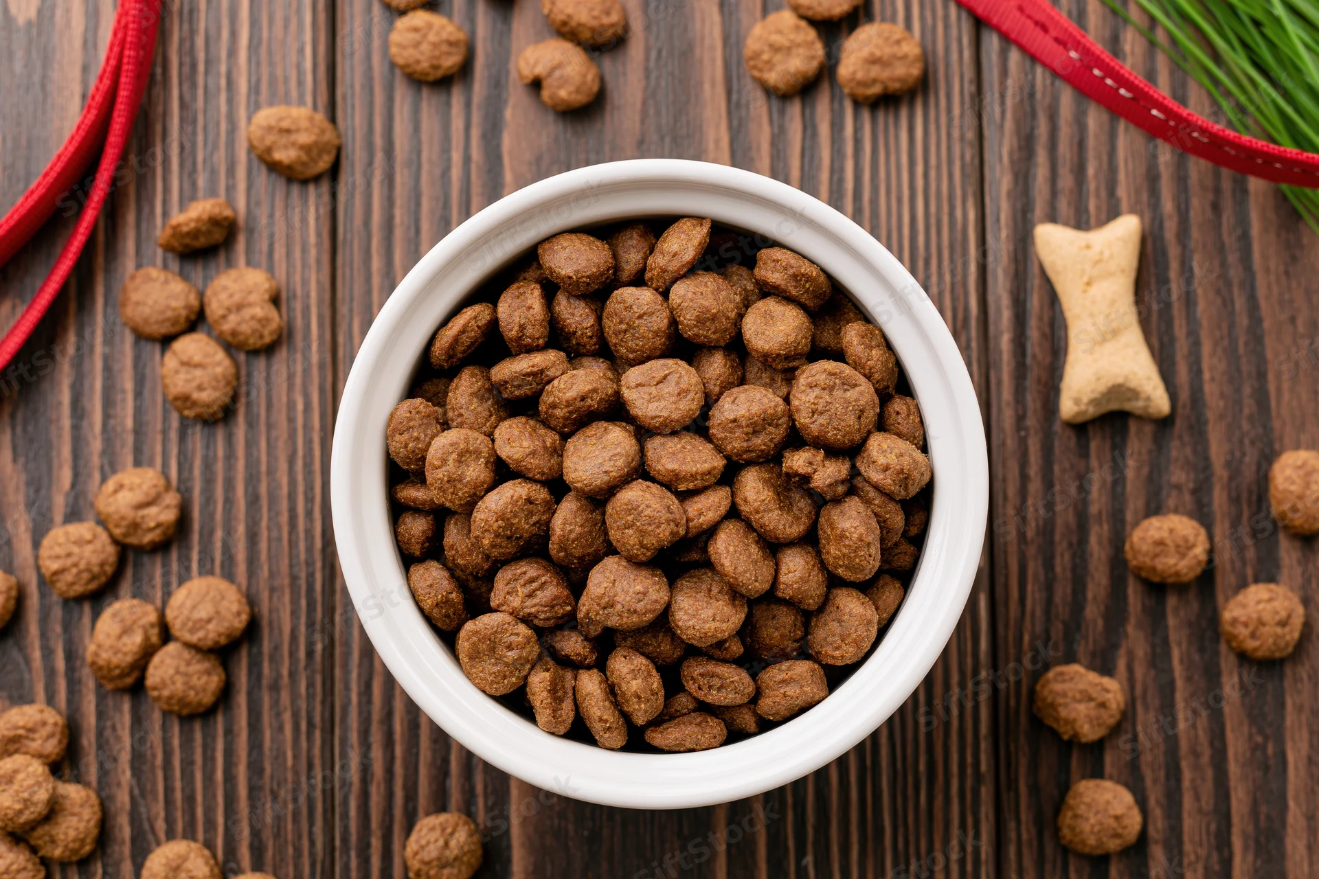 White ceramic bowl filled with dry dog kibble on wooden surface with scattered kibble, bone treat, red ribbon and green grass around