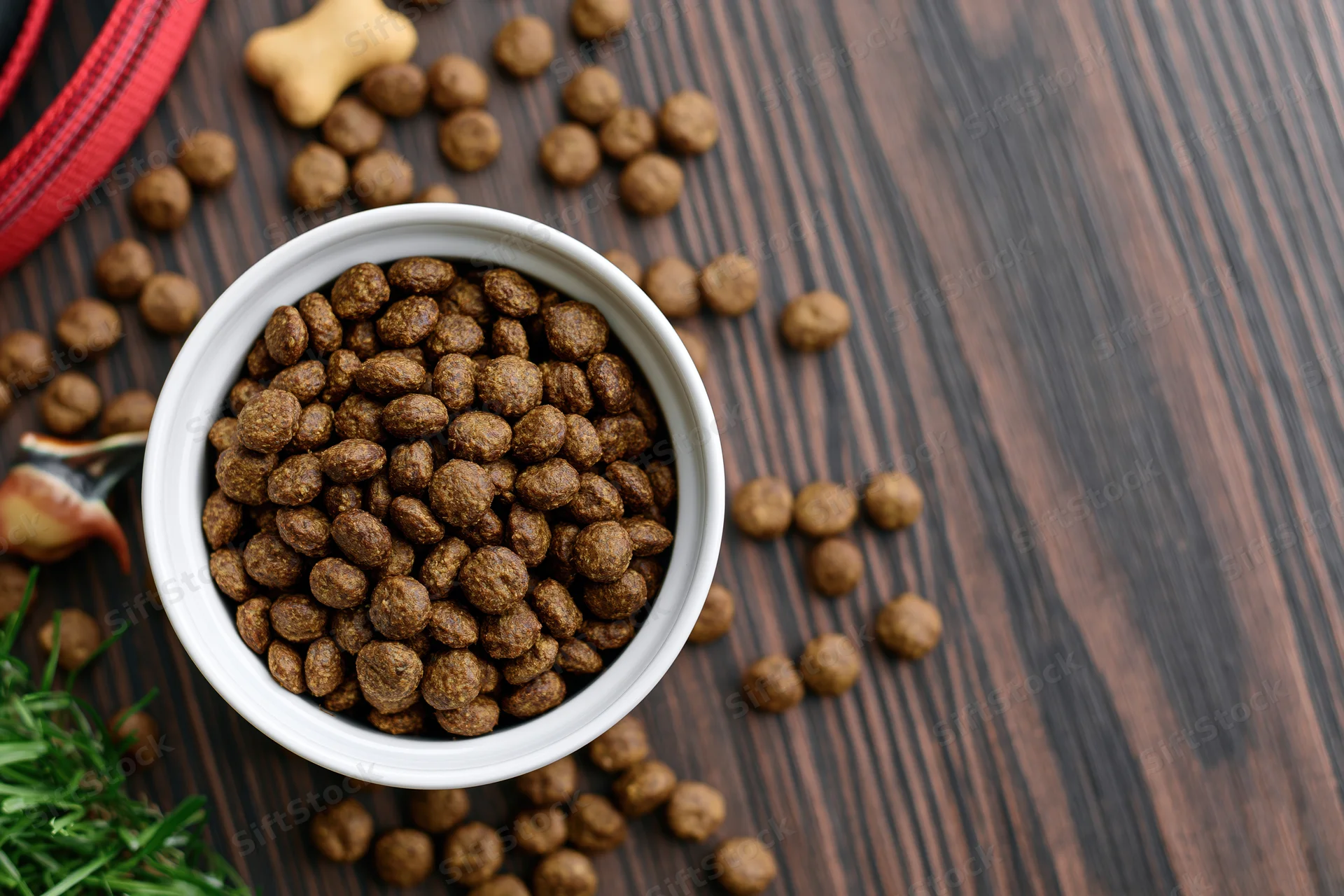 White ceramic bowl filled with dry dog kibble on wooden surface with scattered kibble, red collar, bone treat and green grass nearby