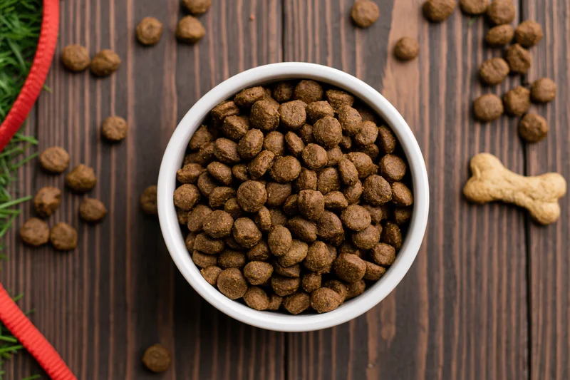 White ceramic bowl filled with dry dog kibble on wooden surface with scattered kibble, bone-shaped treat, red leash and green grass nearby