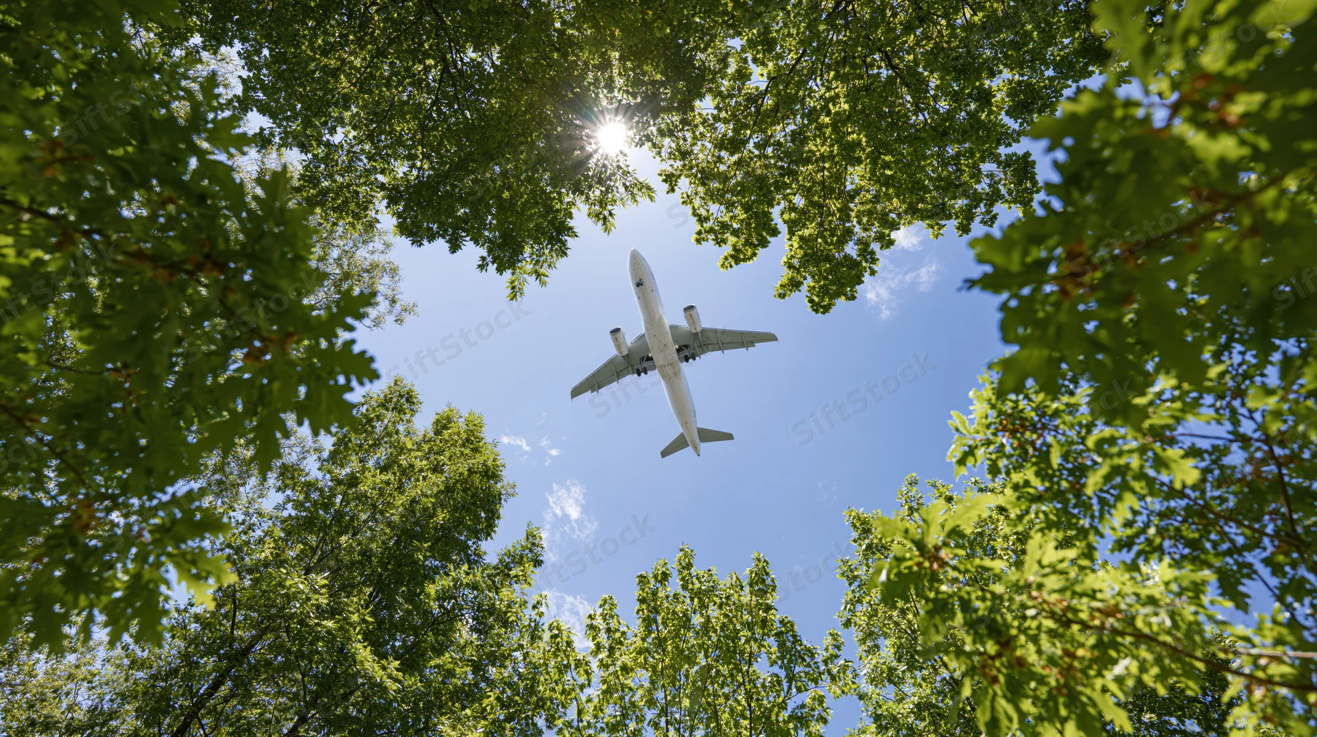 White commercial airplane flying overhead viewed through green tree canopy against blue sky