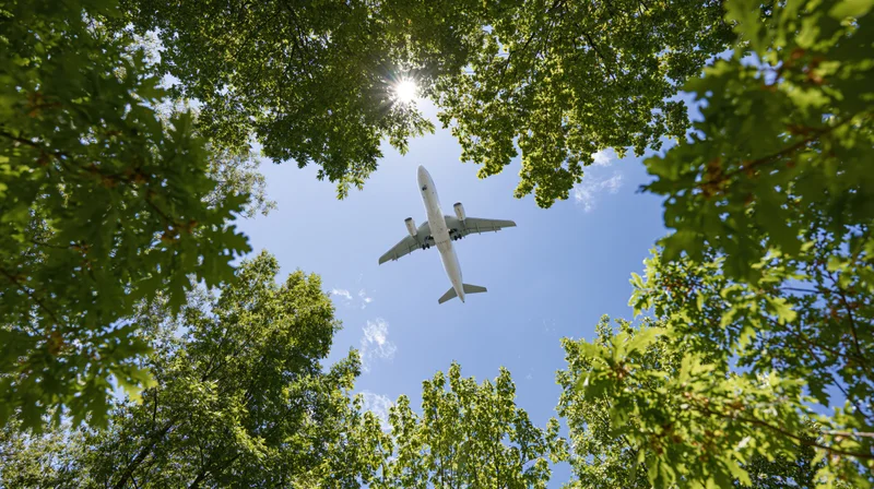 White commercial airplane flying overhead viewed through green tree canopy against blue sky