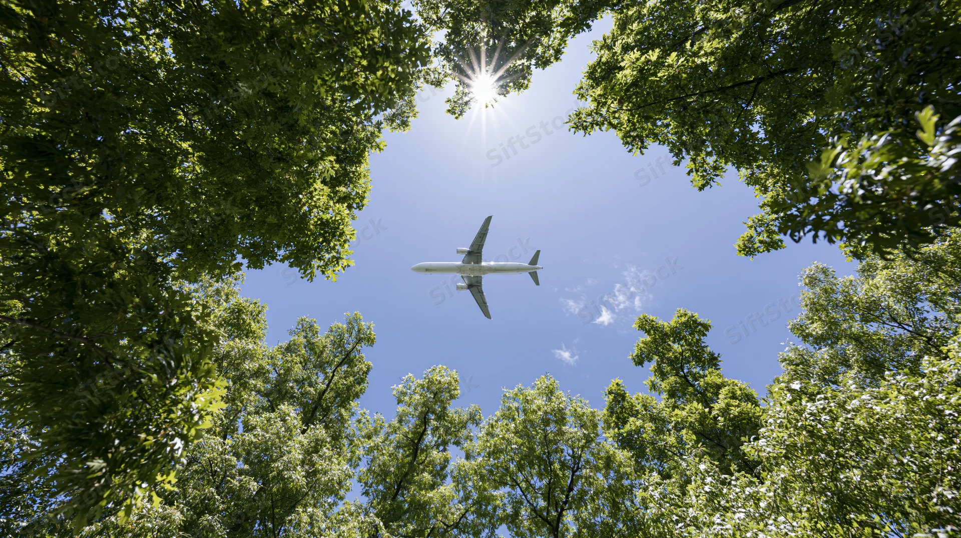 Airplane flying overhead viewed through a canopy of green trees against a bright blue sky