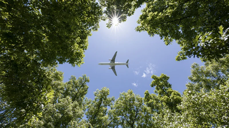 Airplane flying overhead viewed through a canopy of green trees against a bright blue sky