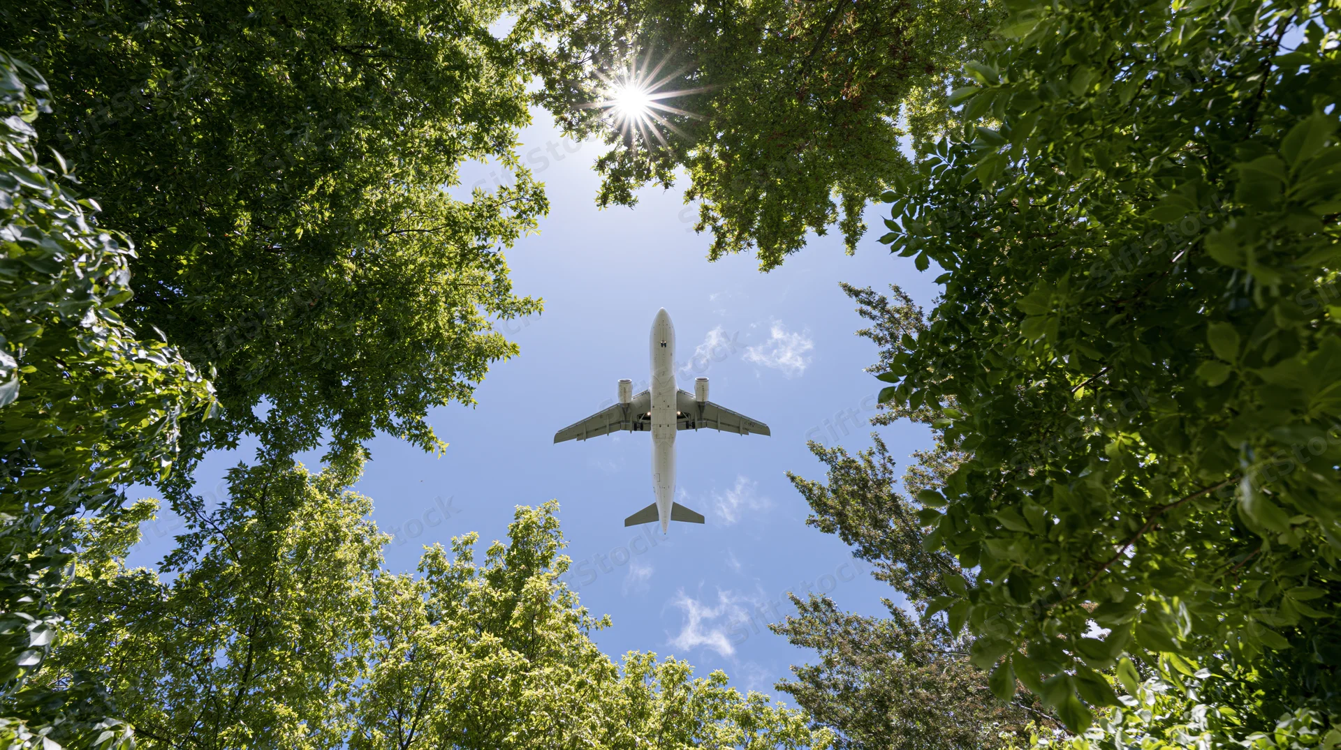 White commercial airplane flying overhead viewed through green tree canopy against blue sky with sun shining through leaves