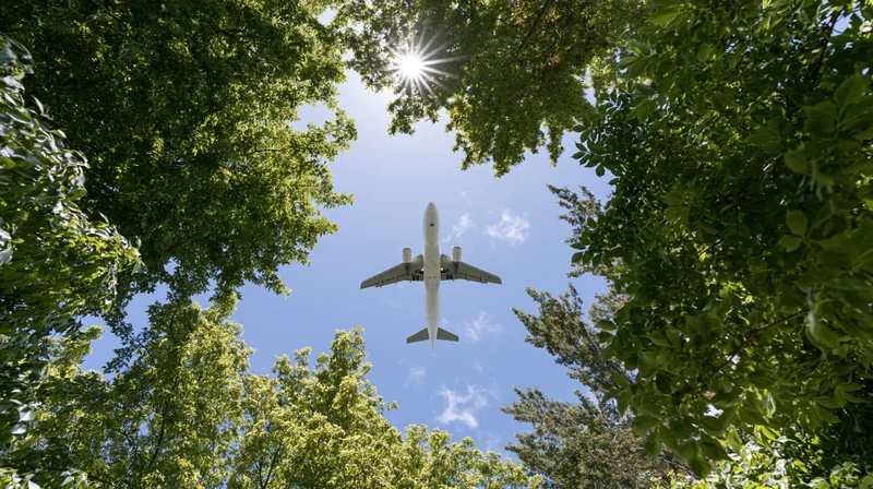 White commercial airplane flying overhead viewed through green tree canopy against blue sky with sun shining through leaves