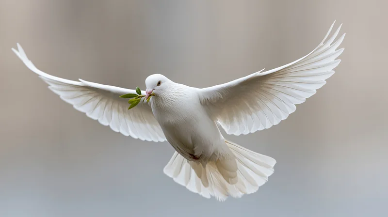 White dove in mid-flight carrying an olive branch against a soft blurred background