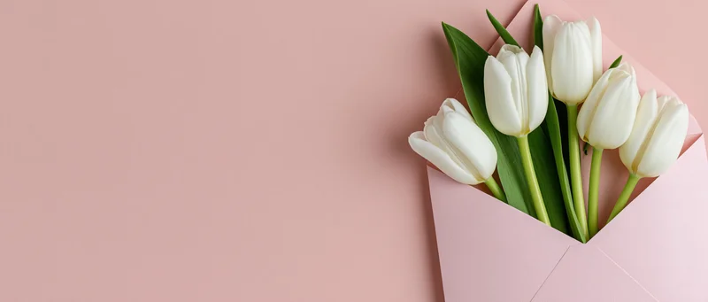 White tulips arranged in an open pink envelope on a soft pink surface