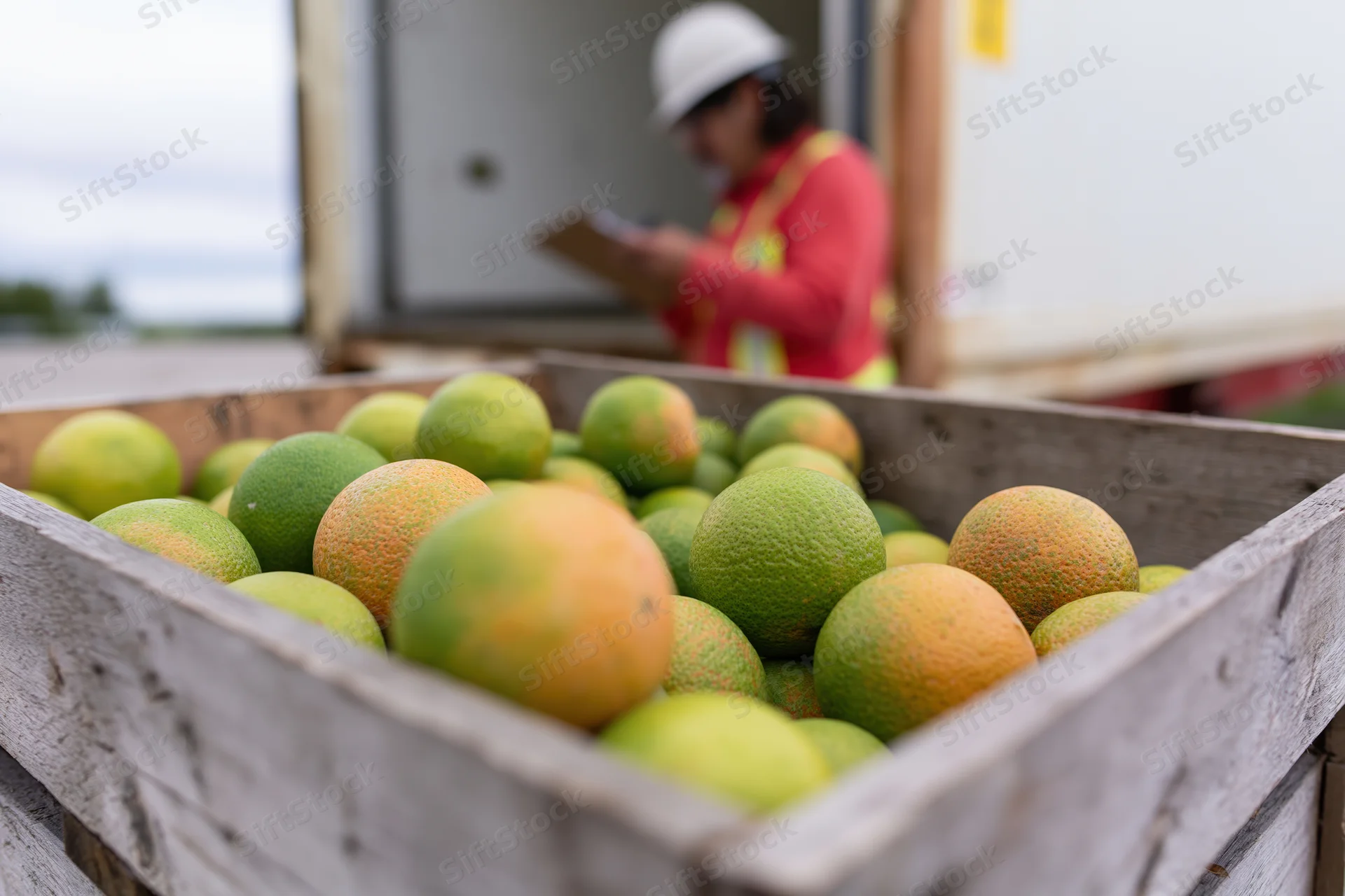 Wooden crate filled with green-orange citrus fruits in front of a worker inspecting produce outdoors