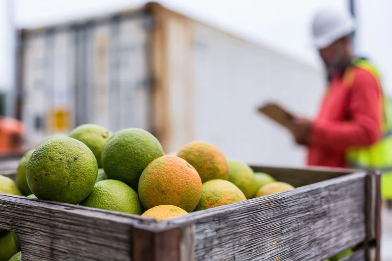 Wooden crate filled with green and orange citrus fruits in front of a worker inspecting produce at a shipping yard