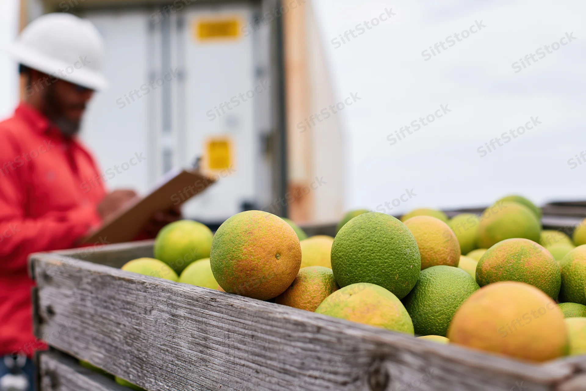 Wooden crate filled with green-orange citrus fruits in foreground with farm worker inspecting clipboard in background