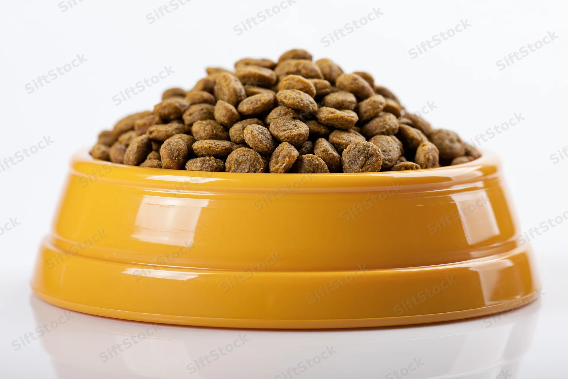 Yellow plastic pet food bowl heaped with dry kibble on white background