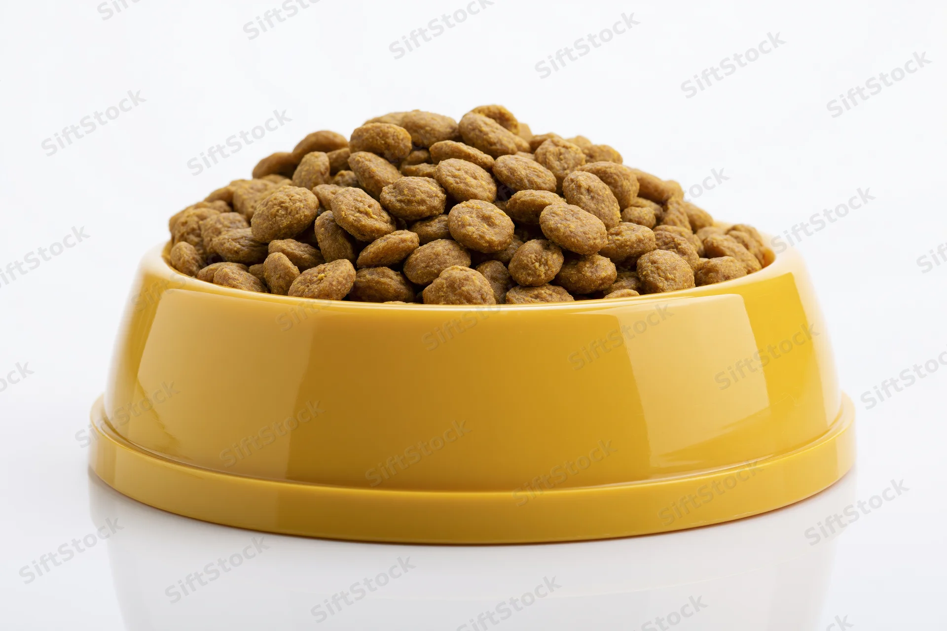 Yellow plastic pet food bowl heaped with dry kibble on white background