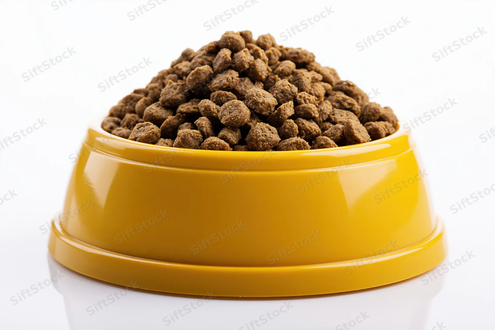 Yellow plastic pet food bowl heaped with dry kibble on white background
