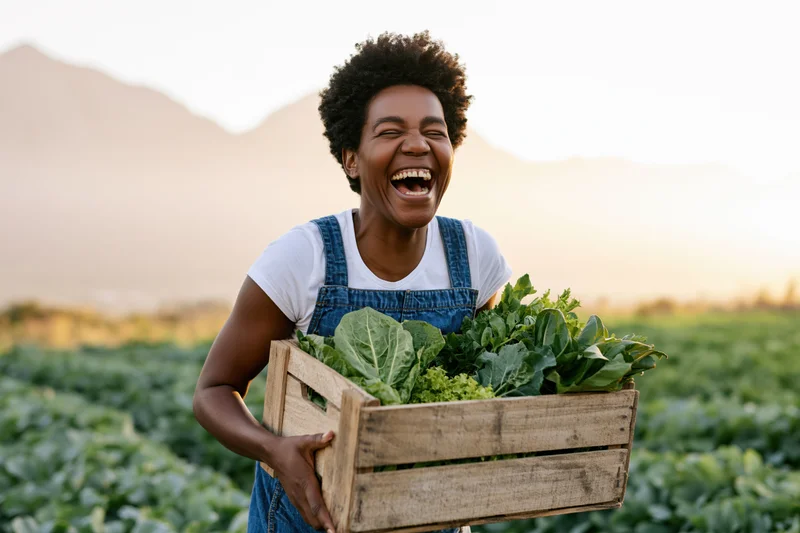 Young black woman laughing while holding a wooden crate of fresh leafy vegetables in a farm field at sunset
