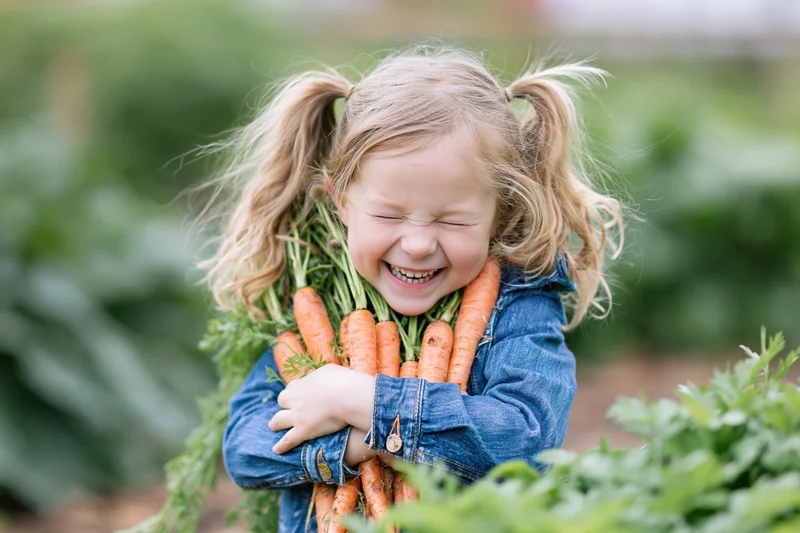 Young blonde girl laughing with eyes squeezed shut while hugging a bundle of fresh carrots in a garden