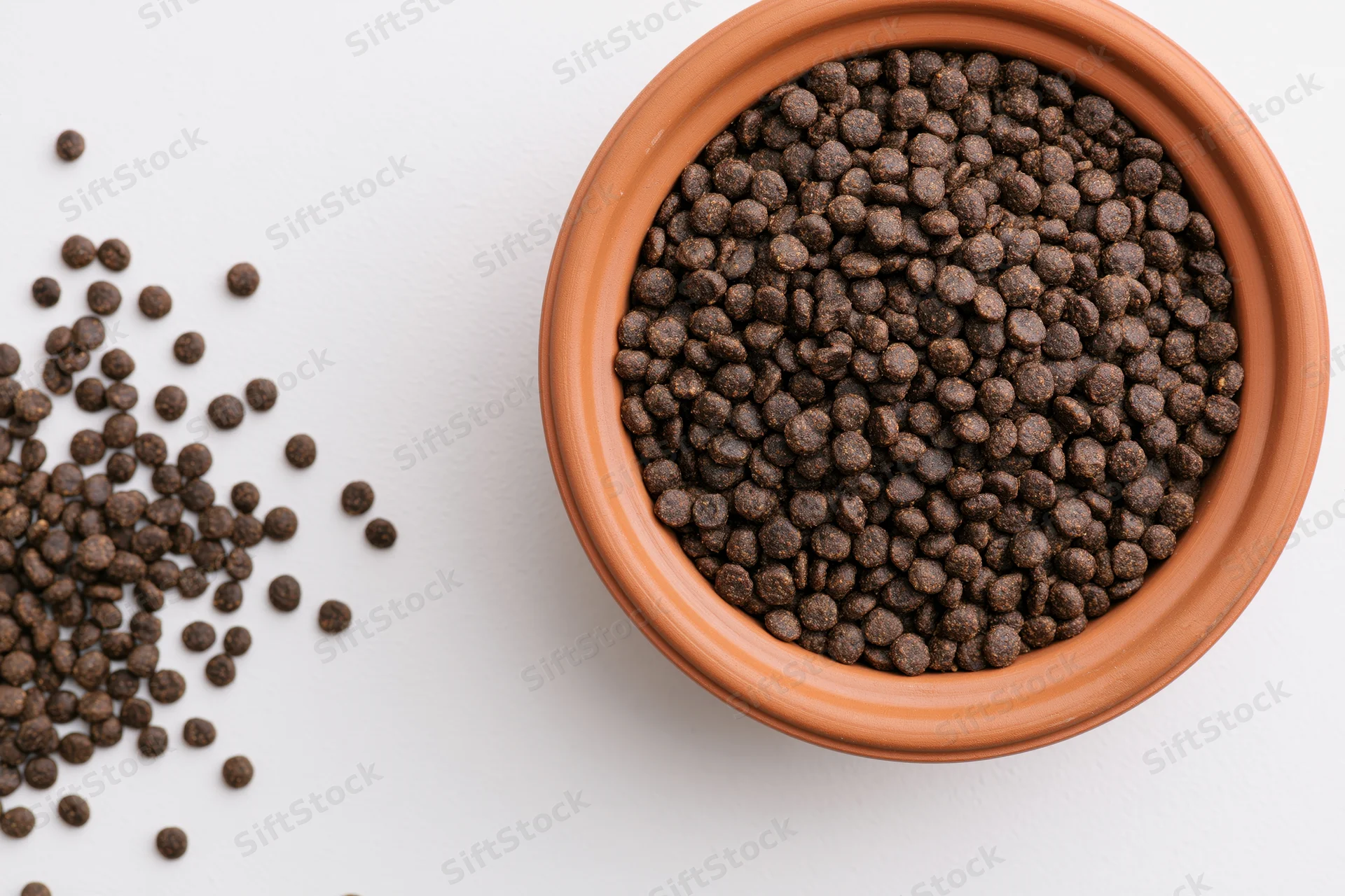 Terracotta bowl filled with dry pet kibble on white surface with scattered pieces beside it