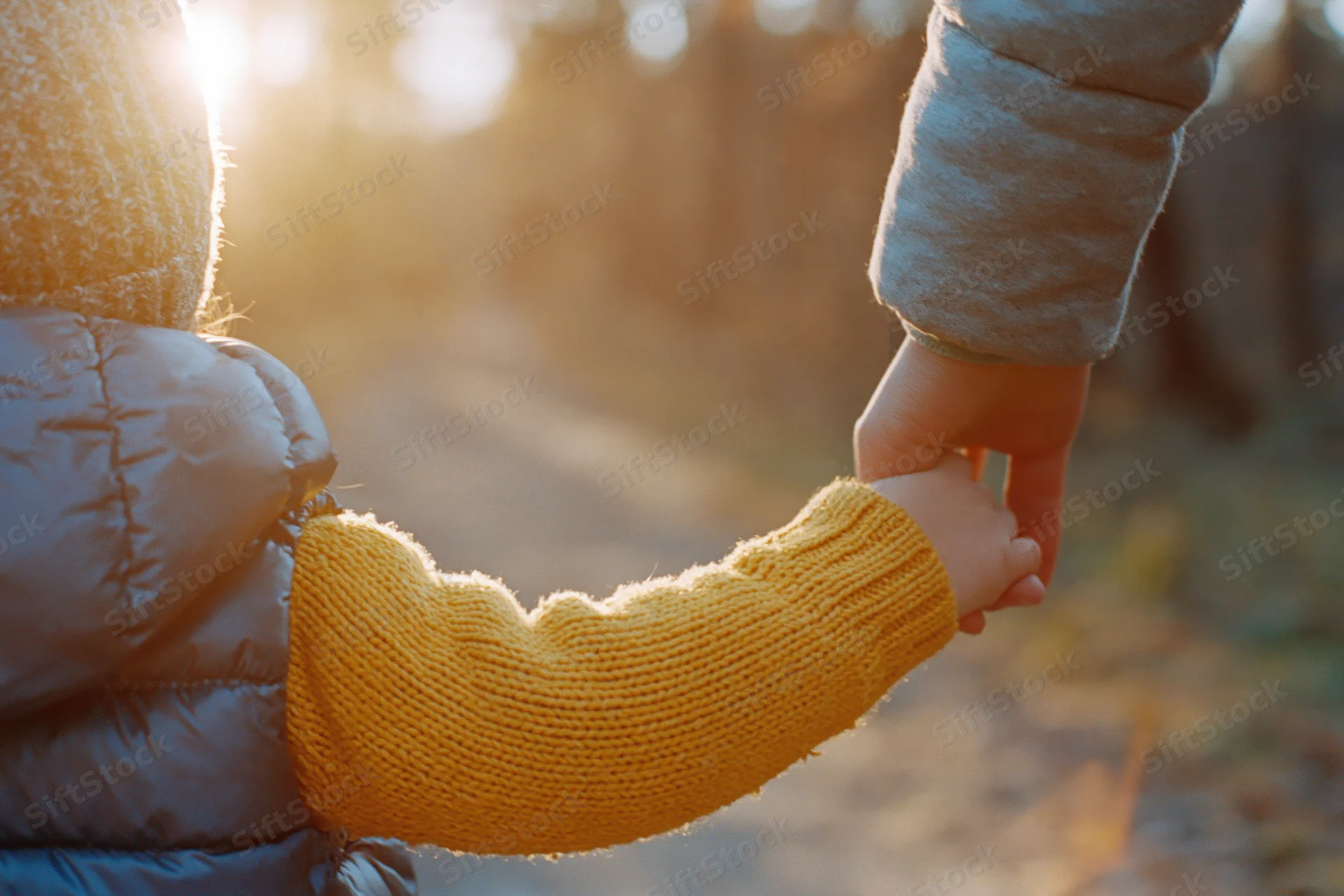 Toddler holding adult's hand on a forest path at golden hour