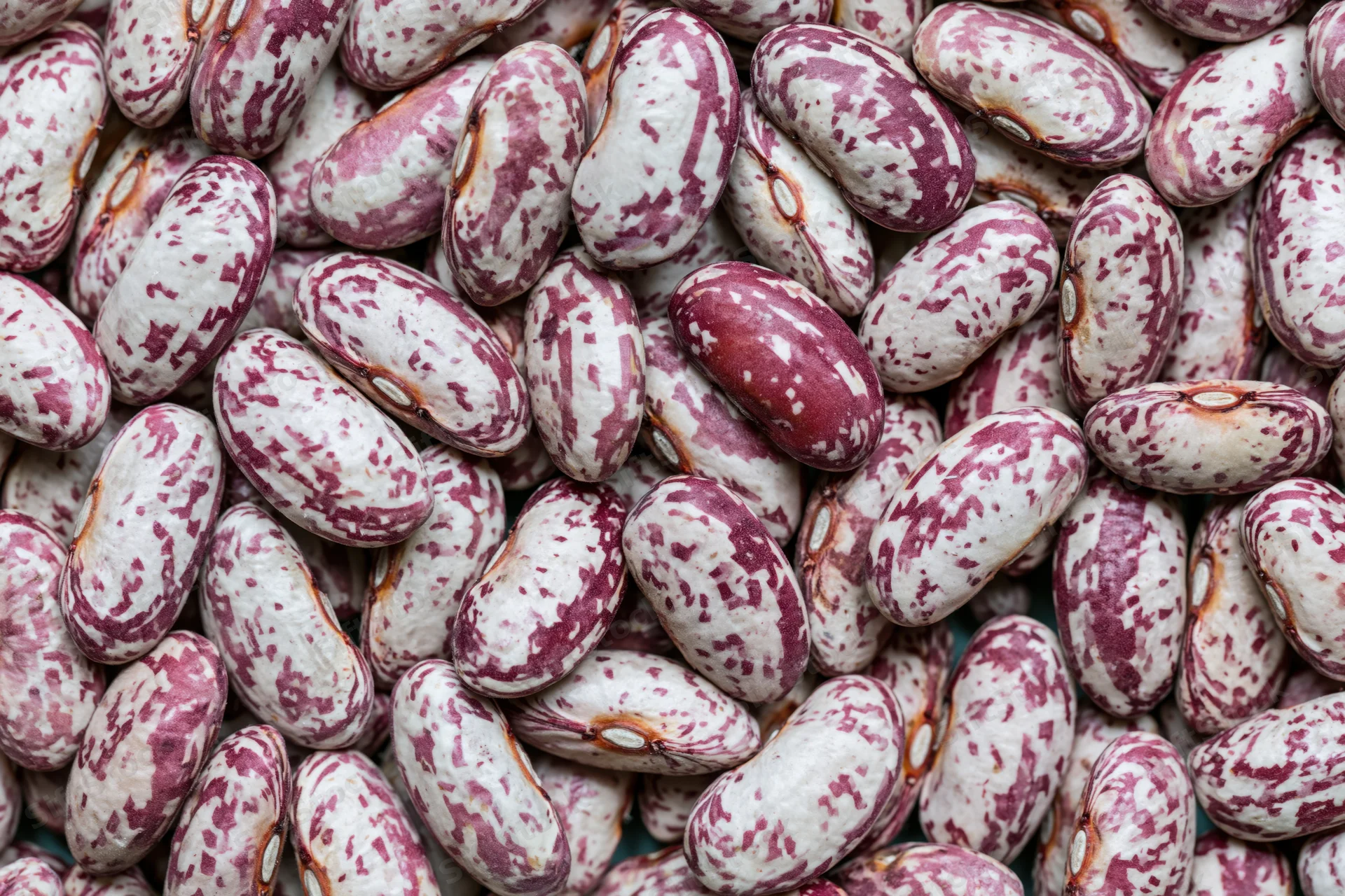 Dried speckled borlotti beans piled closely together filling the frame