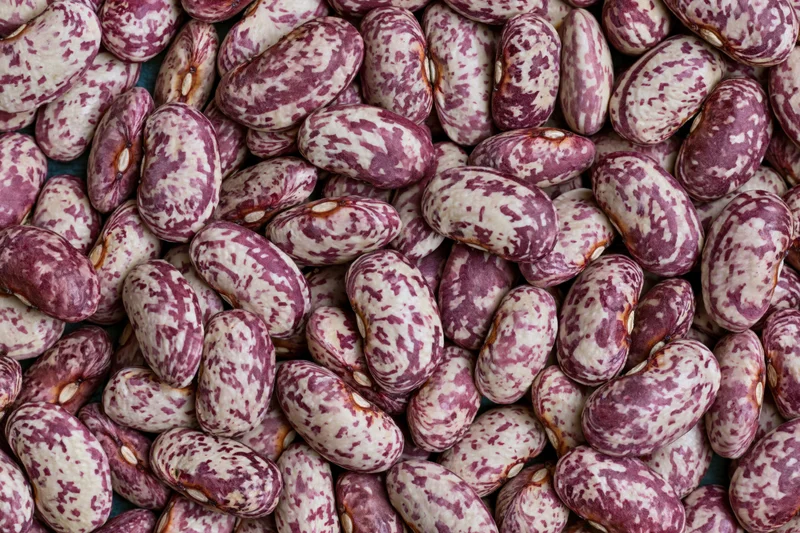 Dried speckled borlotti beans filling the frame in a close-up view