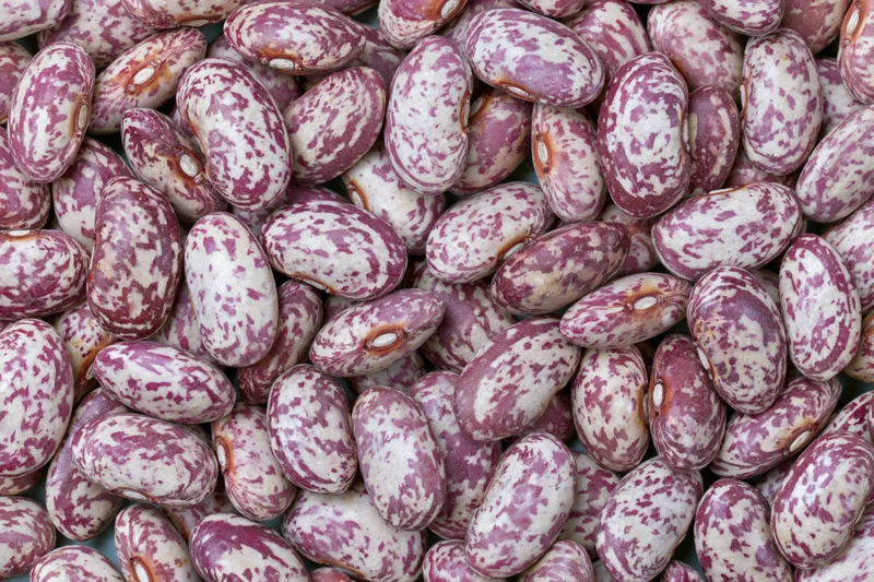 Dried speckled borlotti beans piled closely together filling the frame