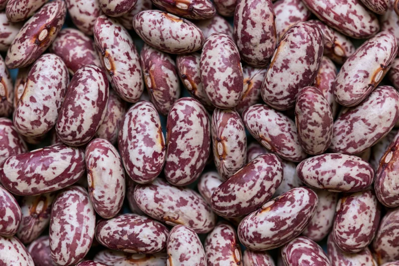 Closeup of dried speckled borlotti beans piled together filling the frame