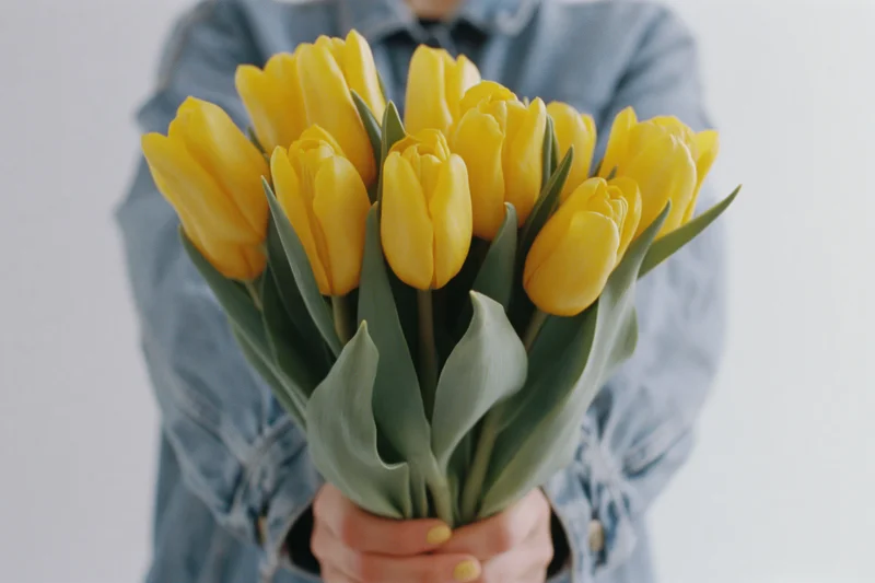 Woman holding a bouquet of bright yellow tulips in front of her body, wearing a denim jacket