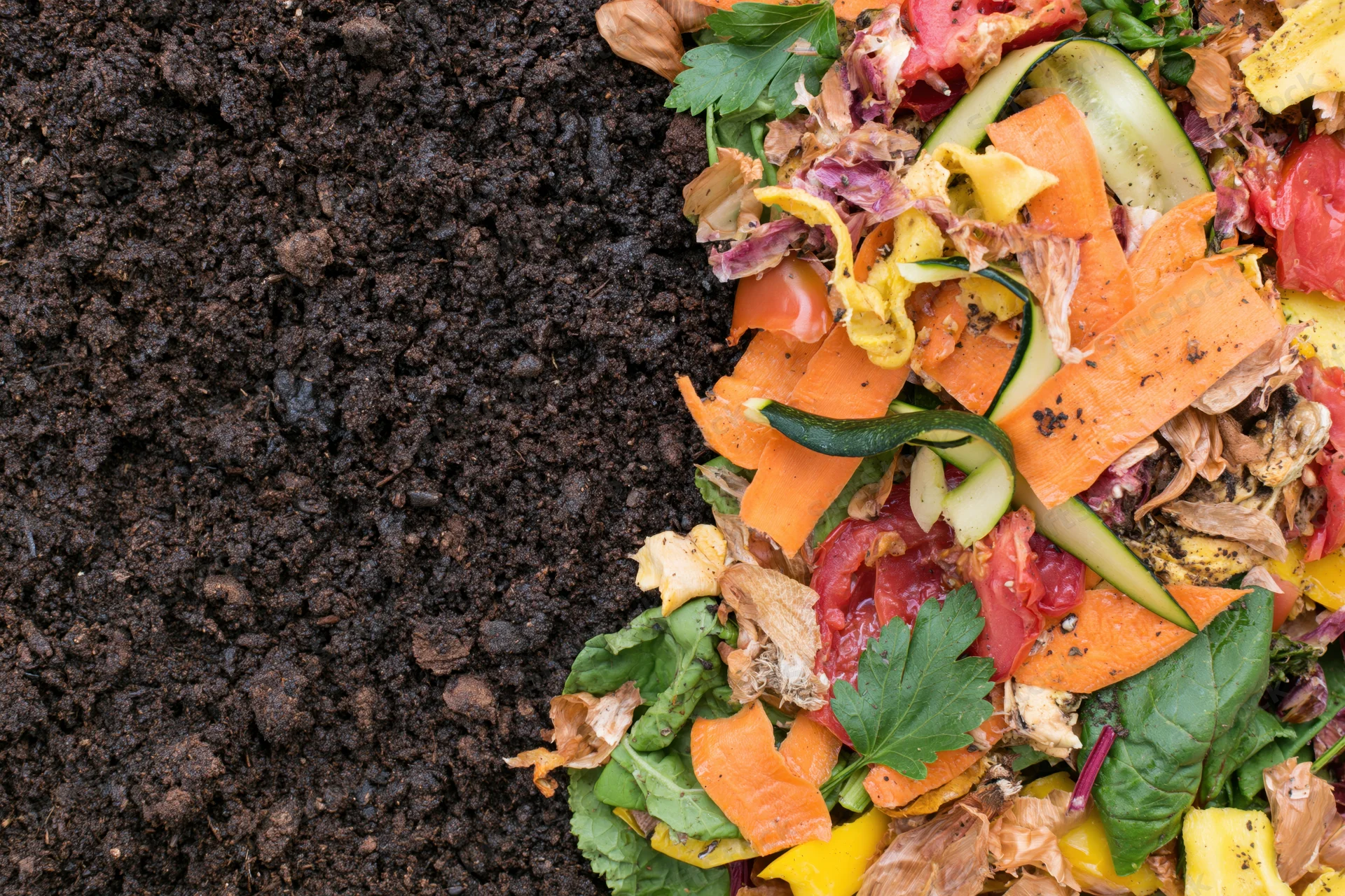 Pile of vegetable scraps and food waste next to dark compost soil