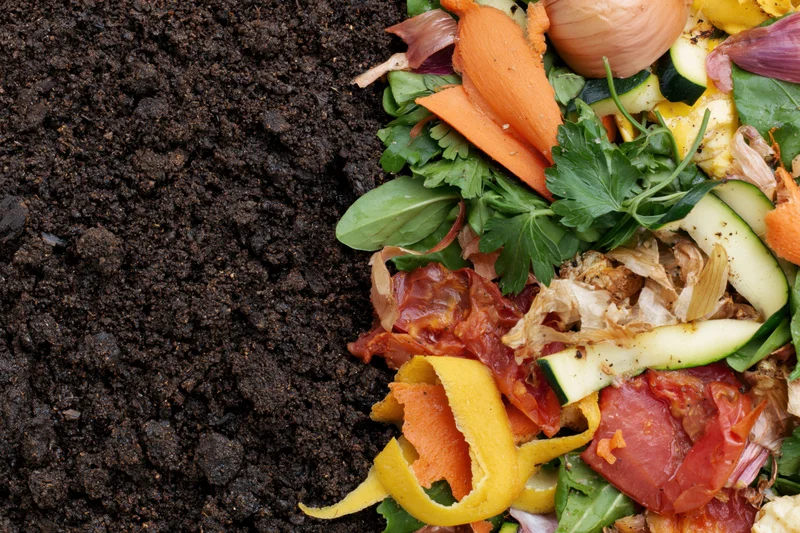 Vegetable scraps and food waste piled beside dark compost soil