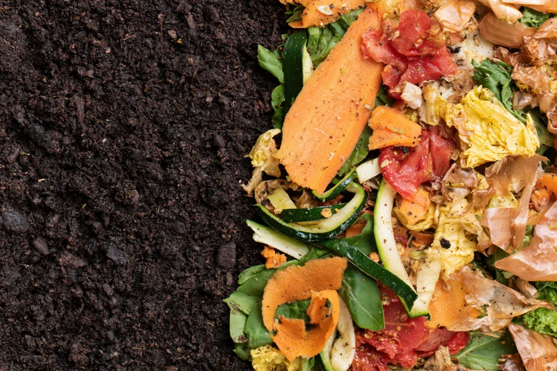 Pile of vegetable scraps and food waste on dark soil with copyspace on left