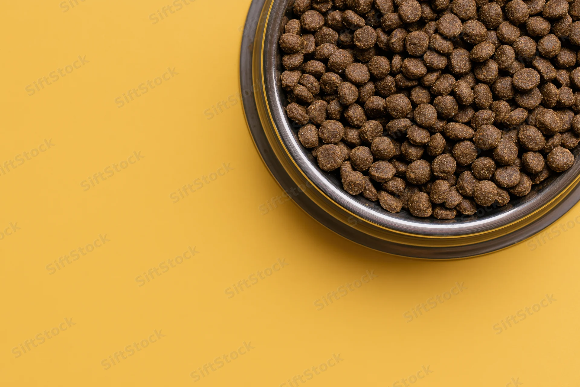 Stainless steel bowl filled with dry brown kibble on yellow surface
