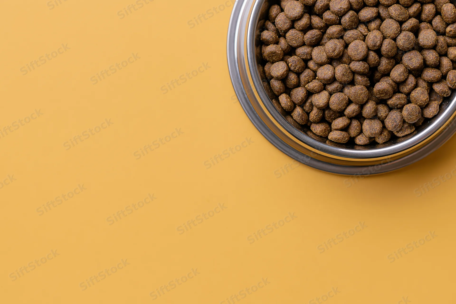 Stainless steel bowl filled with dry brown kibble on orange surface