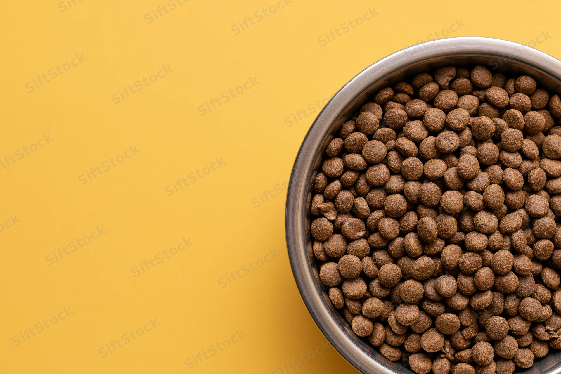 Stainless steel bowl filled with dry brown kibble on yellow background