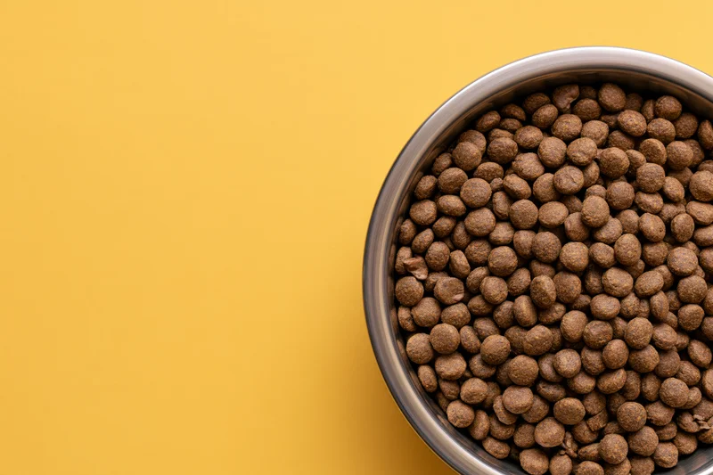 Stainless steel bowl filled with dry brown kibble on yellow background