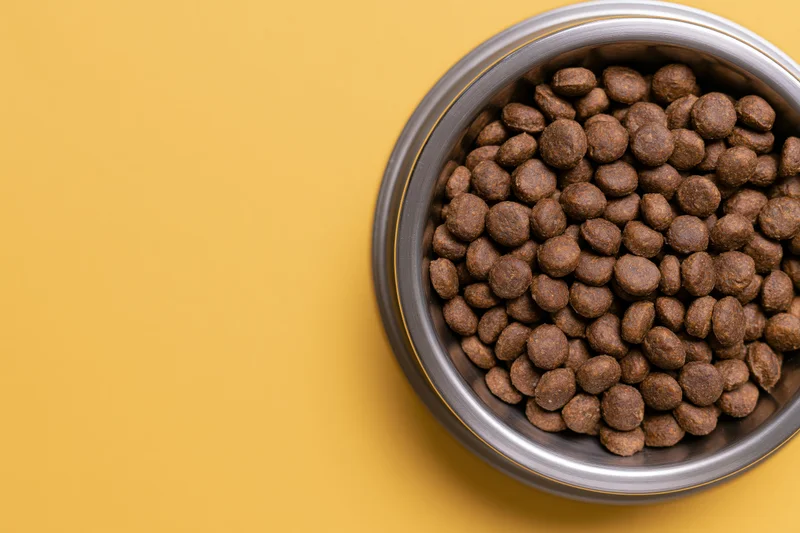 Stainless steel bowl filled with dry brown kibble on yellow surface
