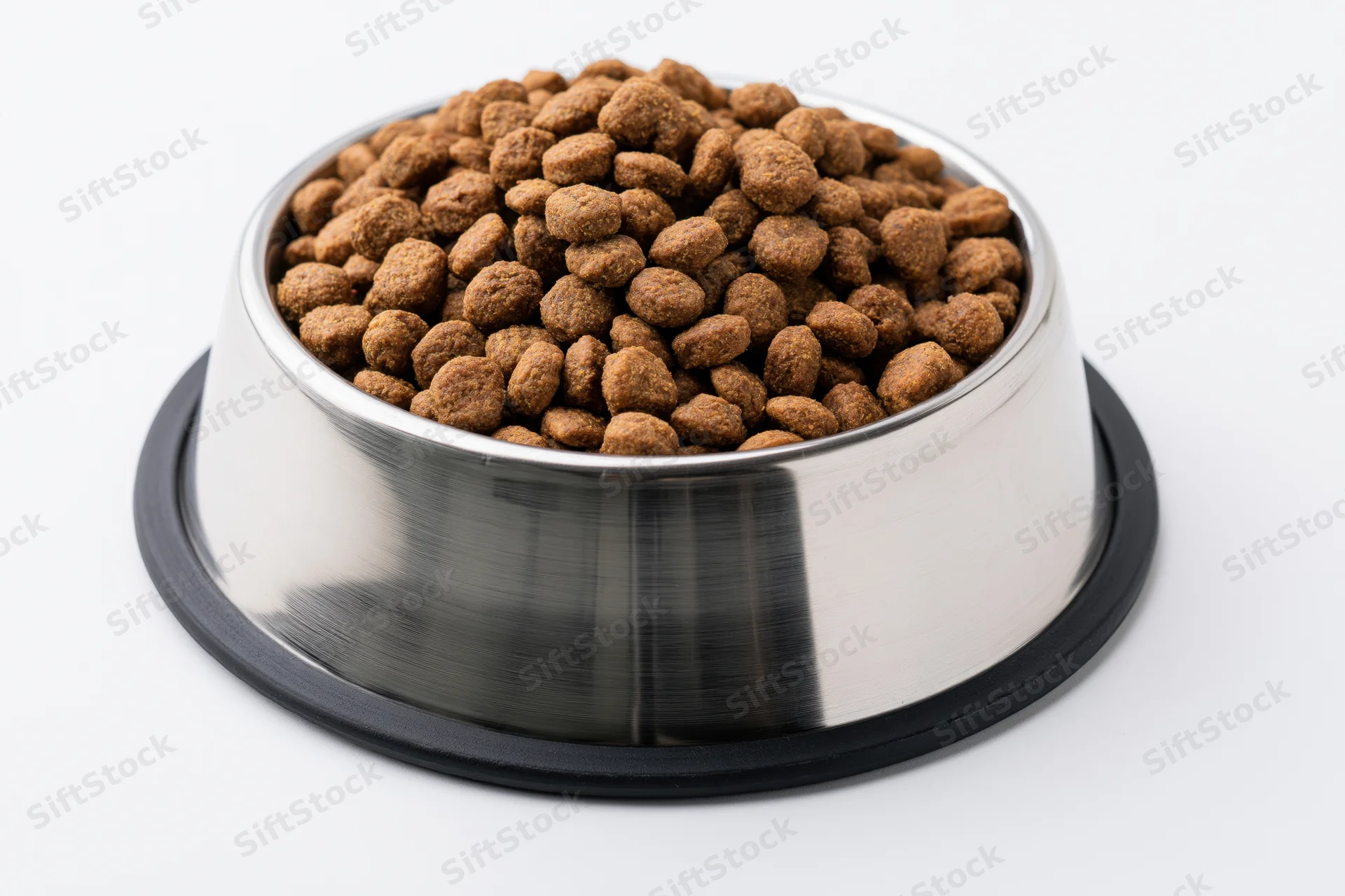 Stainless steel pet food bowl filled with dry kibble on white background
