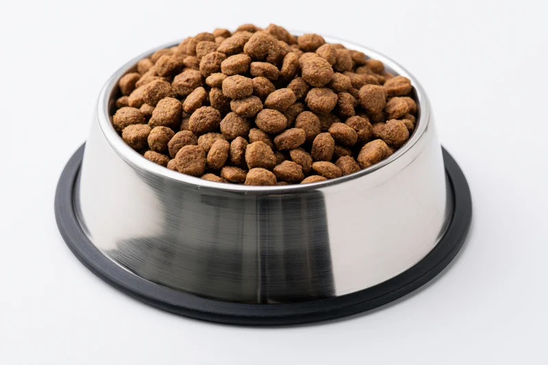 Stainless steel pet food bowl filled with dry kibble on white background