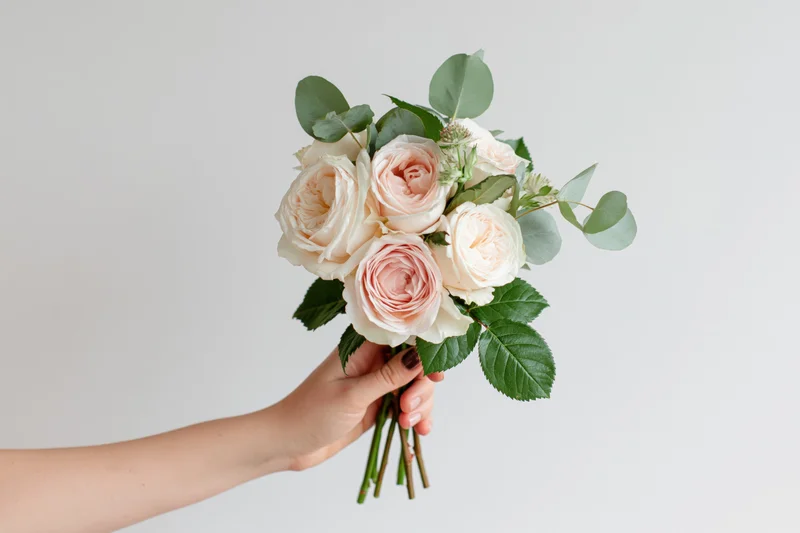 Woman's hand holding a small bouquet of pale pink and cream roses with green foliage against a white background