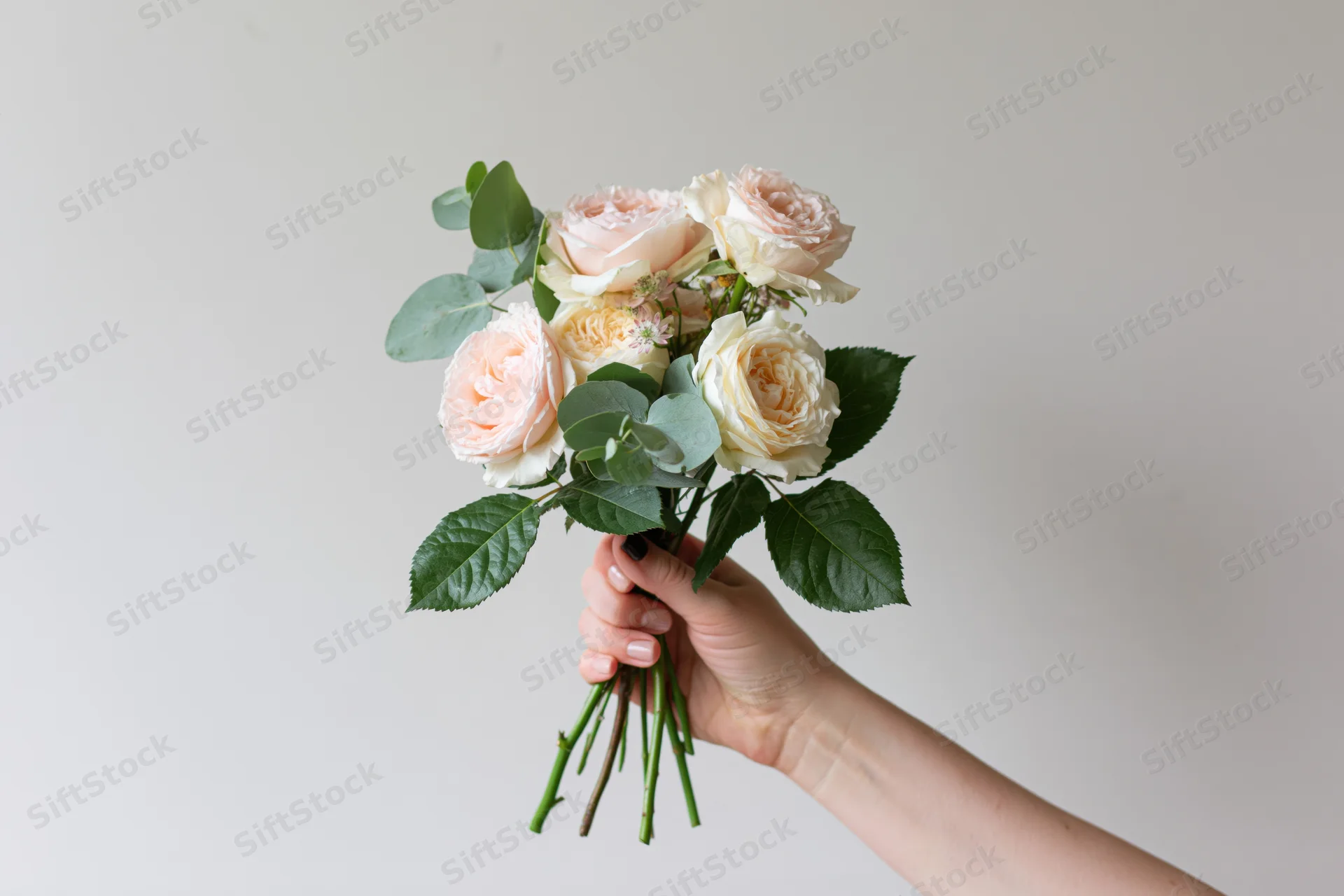 Woman's hand holding a small bouquet of pale pink and cream roses with green foliage against a white background